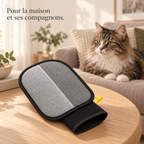 Gant anti-poils dans un salon avec un chat